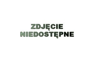Moduł Narożny 577