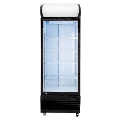 Witryna chłodnicza Rico 455l H208 sklepowa gastronomiczna CHNC100