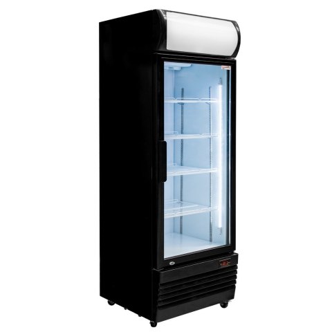 Witryna chłodnicza Rico 455l H208 sklepowa gastronomiczna CHNC100